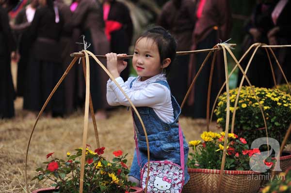 hội hoa xuân 